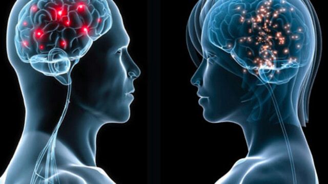 Kadın ve Erkek Beyin Farklılıkları ve Hormon Etkileri