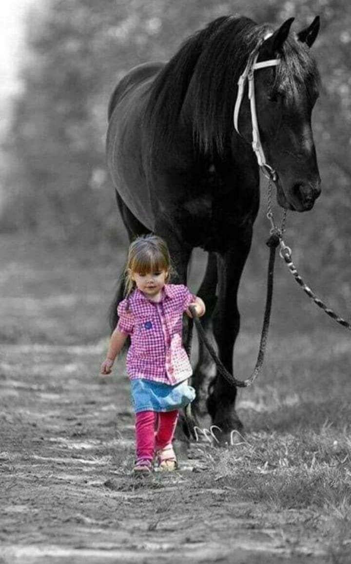 BİR ATIN RÜZGÂRINDA UÇMAK