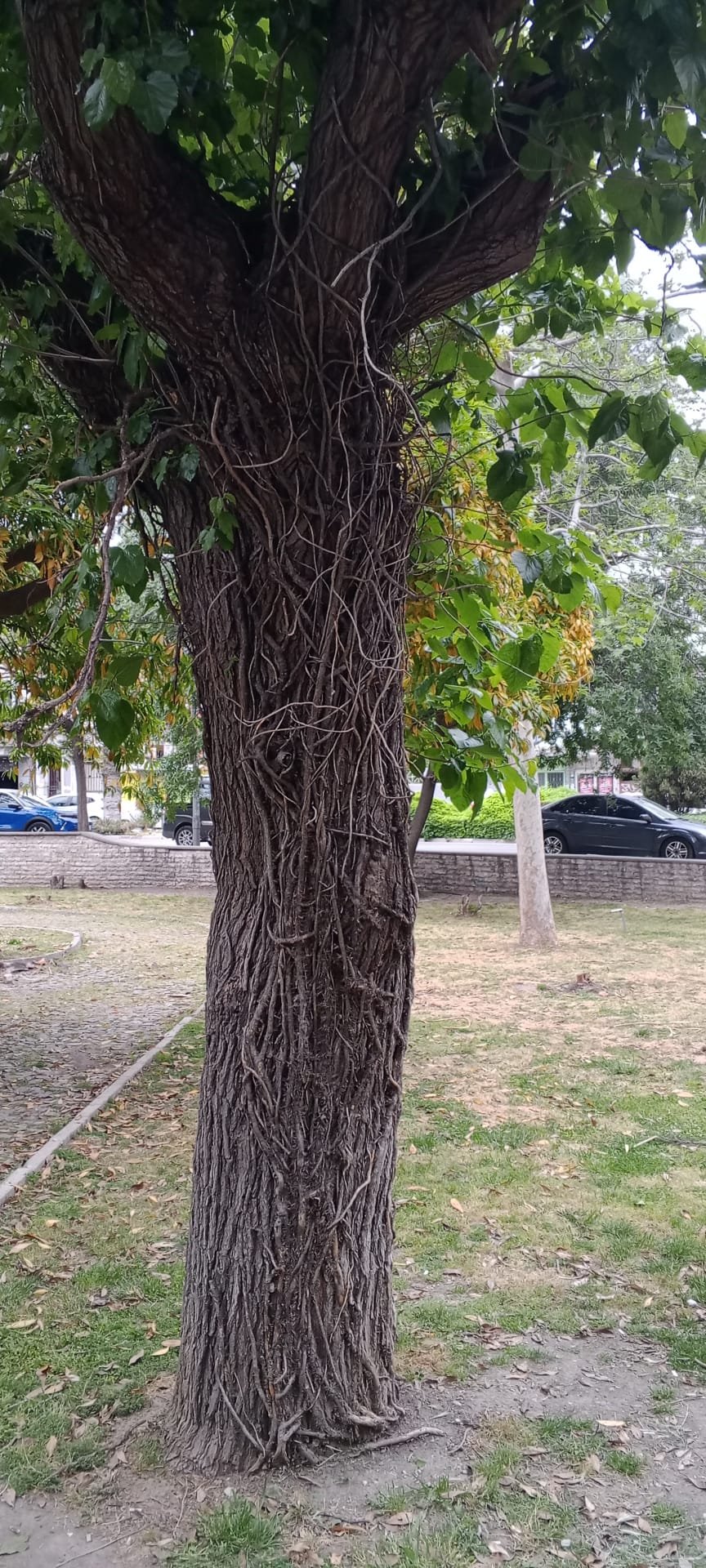 Değişim Rüzgarı Ve Ruhsal Arınma